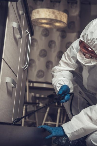 exterminator-work-clothes-sprays-pesticides-with-spray-gun-fight-against-insects-apartments-houses-disinsection-premises