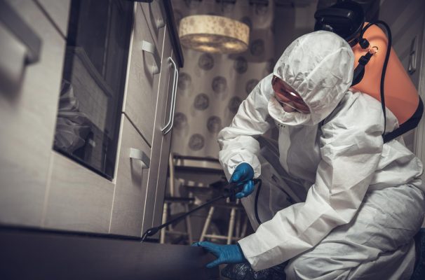 exterminator-work-clothes-sprays-pesticides-with-spray-gun-fight-against-insects-apartments-houses-disinsection-premises